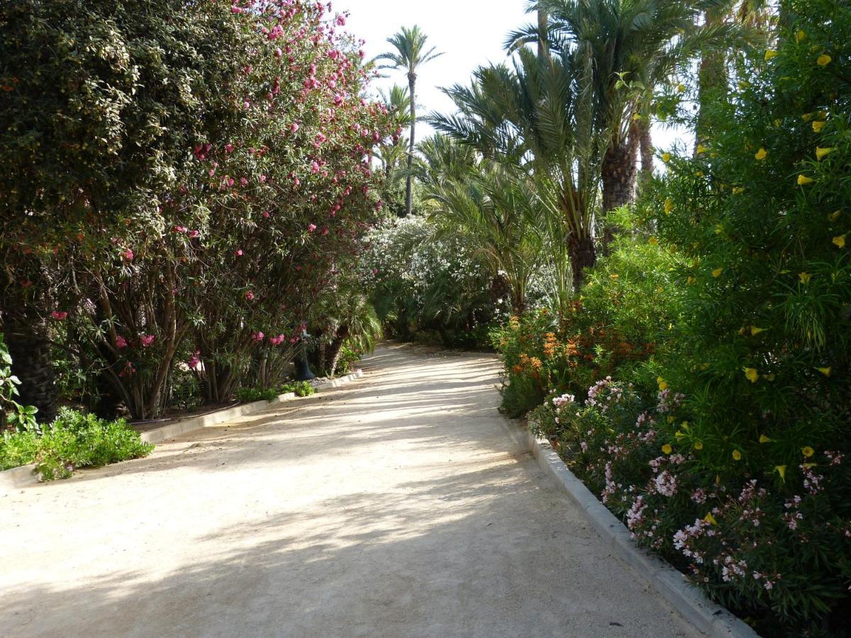 Very Best Flat Ust 800M Postiguet-Beach Alicante Exterior photo
